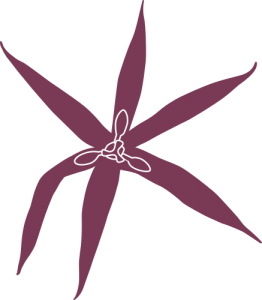 Flora of Tasmania Online logo